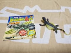 イグアナアンドコー　22 トビトカゲのサムネイル