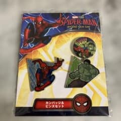 MARVEL 스파이더 맨 & 헐크 캔버지 & 핀즈 세트