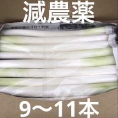不揃いカットネギ　　　　　おいし〜いよ！ 　　A4サイズのサムネイル