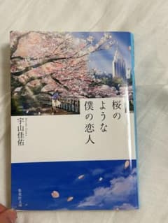桜のような僕の恋人 宇山佳佑 集英社文庫のサムネイル