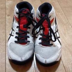 アシックスバッシュ   21.0のサムネイル