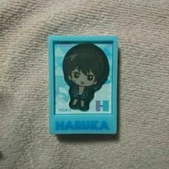 Free!ピンバッチ*遥Aのサムネイル