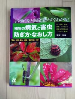 植物の病気と害虫 防ぎ方・なおし方 草間祐輔のサムネイル
