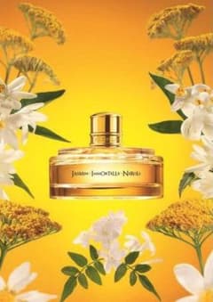 L'OCCITANE ジャスミンイモーテル ネロリオードトワレ ユッタキン様専用のサムネイル
