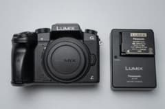 Panasonic LUMIX DMC-G7 完動 グリップ剝げ バッテリー×2 - メルカリ