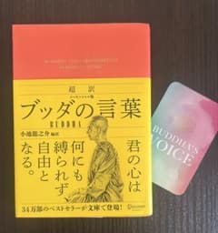 ブッダの言葉 小池龍之介著のサムネイル