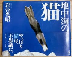 地中海の猫のサムネイル