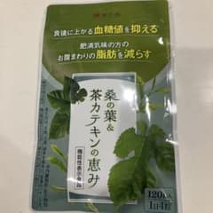 桑の葉&茶カテキンの恵み 120粒のサムネイル