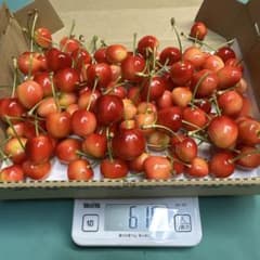 Thumbnail of 寒河江市産　ハート形のさくらんぼ　紅キラリ　600g