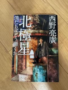 北極星のサムネイル