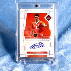 世界49枚！Panini National Treasures ファン バステン 世界49枚！Panini National Treasures ファン バステン - メルカリ