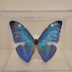 m76409267222_1.jpg?1725244018