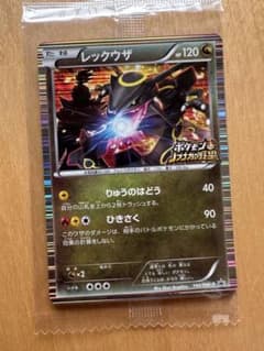 杉*弥様 レックウザ P ニンテンドーDソフト「ポケモン+ノブナガの野望」初回限 杉*弥様 レックウザ P ニンテンドーDソフト「ポケモン+ノブナガの野望