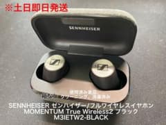 ノイキャン完全ワイヤレスイヤホン M3IETW2 BLACKのサムネイル