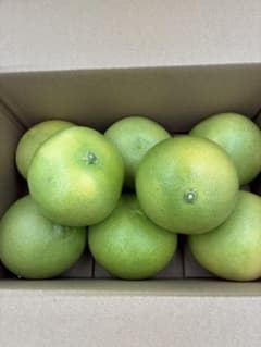 文旦高知県産 ハウス水晶文旦 3kg（6〜12玉）家庭用 訳あり・味は絶品！のサムネイル
