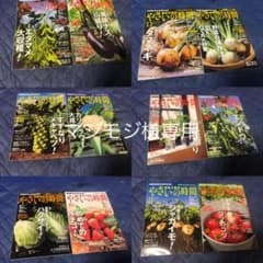 やさいの時間のサムネイル