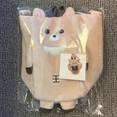 RIIZE 公式 日本限定 東京ドーム ファンライトバッグ ソンチャン