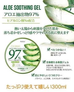 韓国コスメ ハイジドルフ ジェル 2点セット アロエのサムネイル