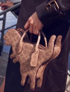 最安値/新品】 コーチ COACH レキシー バッグ・シグネチャー - メルカリ