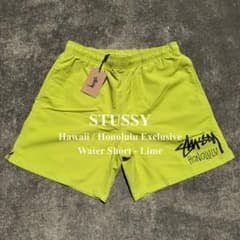 新品タグ付 STUSSY ホノルル限定 ウォーターショーツ M 水着 ライム 緑 新品タグ付 STUSSY ホノルル限定 ウォーターショーツ M 水着 ライム 緑