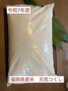 福岡県産 元気つくし25kg（袋込み）発送直前精米 大容量【超メルカリ市】 福岡県産米 元気つくし 令和7年度品 - メルカリ