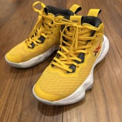 アシックス　バスケ　シューズ NOVA SURGE GS キッズ　22cmのサムネイル