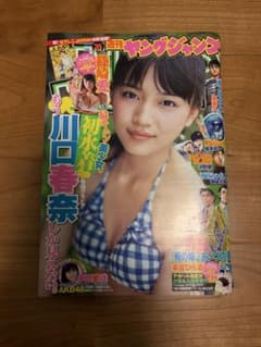 【美品】 川口春奈　篠崎愛　週刊ヤングジャンプ 2011年8月11日号のサムネイル