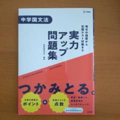 実力アップ問題集 中学国文法のサムネイル