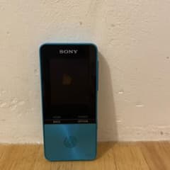SONY ウォークマン Sシリーズ NW-S313(L)のサムネイル