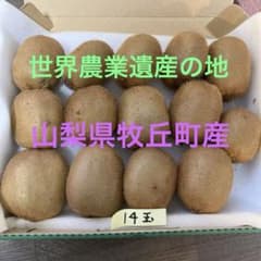 新鮮キウイ 14個入りのサムネイル
