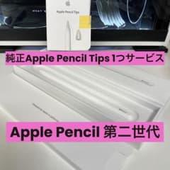 【使用数回】【美品】Apple pencil 2【第2世代】純正換えペン先付のサムネイル
