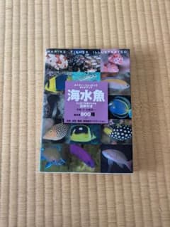 ネイチャーウォッチングガイドブック 海水魚 800種のサムネイル