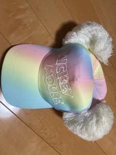 ディズニーファンキャップ パステルのサムネイル