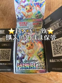 [封入率一致] テラスタルフェスex 1BOX 10パック テラスタルフェスex 未開封 封入率 一致10パック 1box - メルカリ