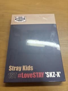 Stray Kids 1ST #LoveSTAY SKZ-X フォトセットのサムネイル
