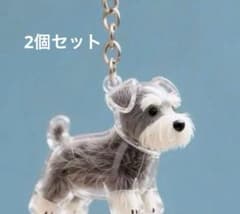 犬の毛 保存ケース キーホルダー ペット メモリアルグッズ　シュナウザーのサムネイル