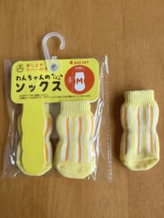わんちゃん　くつ下のサムネイル