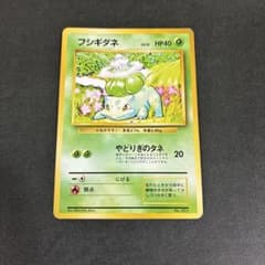 フシギダネ ○ 第1弾拡張パック 旧裏 初版 マークなし - メルカリ