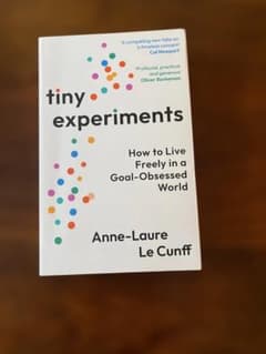 tiny experiments Anne-Laure Le Cunff