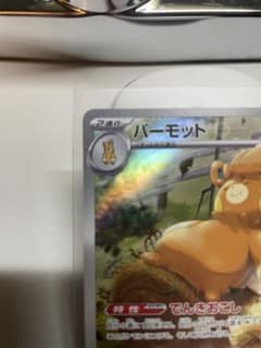 パーモットARのサムネイル