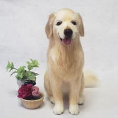 羊毛フェルト オーダー 「リアルで可愛いワンちゃん」ゴールデン