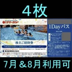 東京都競馬 株主優待 東京サマーランド 1dayパス 4枚セットのサムネイル