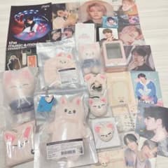Stray kids スキズ skzoo アイエン フォクシニー 10cm ぬい - メルカリ