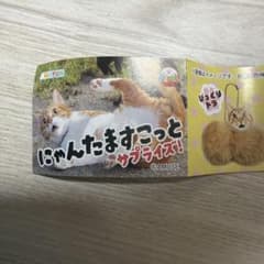 にゃんたますこっと サプライズ！ ぺろキジのサムネイル