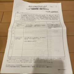 家庭保育園　指導プロブラムのサムネイル