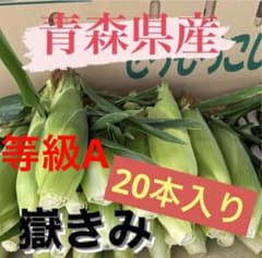 朝採れ嶽きみ2L　恵　等級Aとうもろこし20本入りのサムネイル