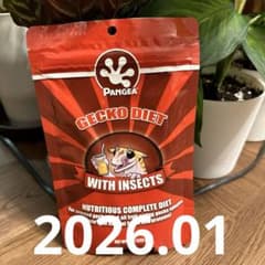 パンゲア✩.*˚WITH INSECTS8oz✩.*˚2026.01のサムネイル