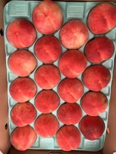85.お買得福島産 朝採り完熟甘い桃 箱込み5kg訳あり家庭用 玉数