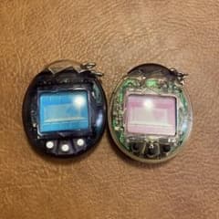 たまごっち オスっちメスっちセット スケルトン 動作確認済 Tamagotchi