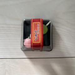 만두 스퀴즈